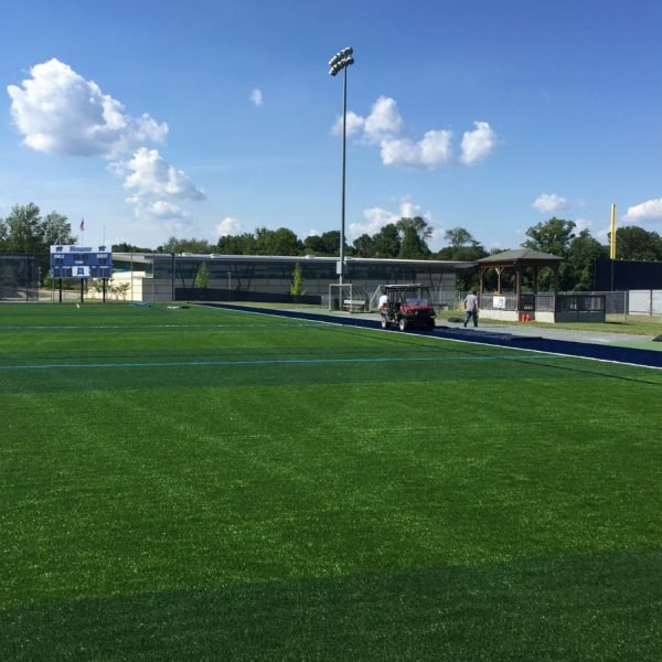 Artificial Turf